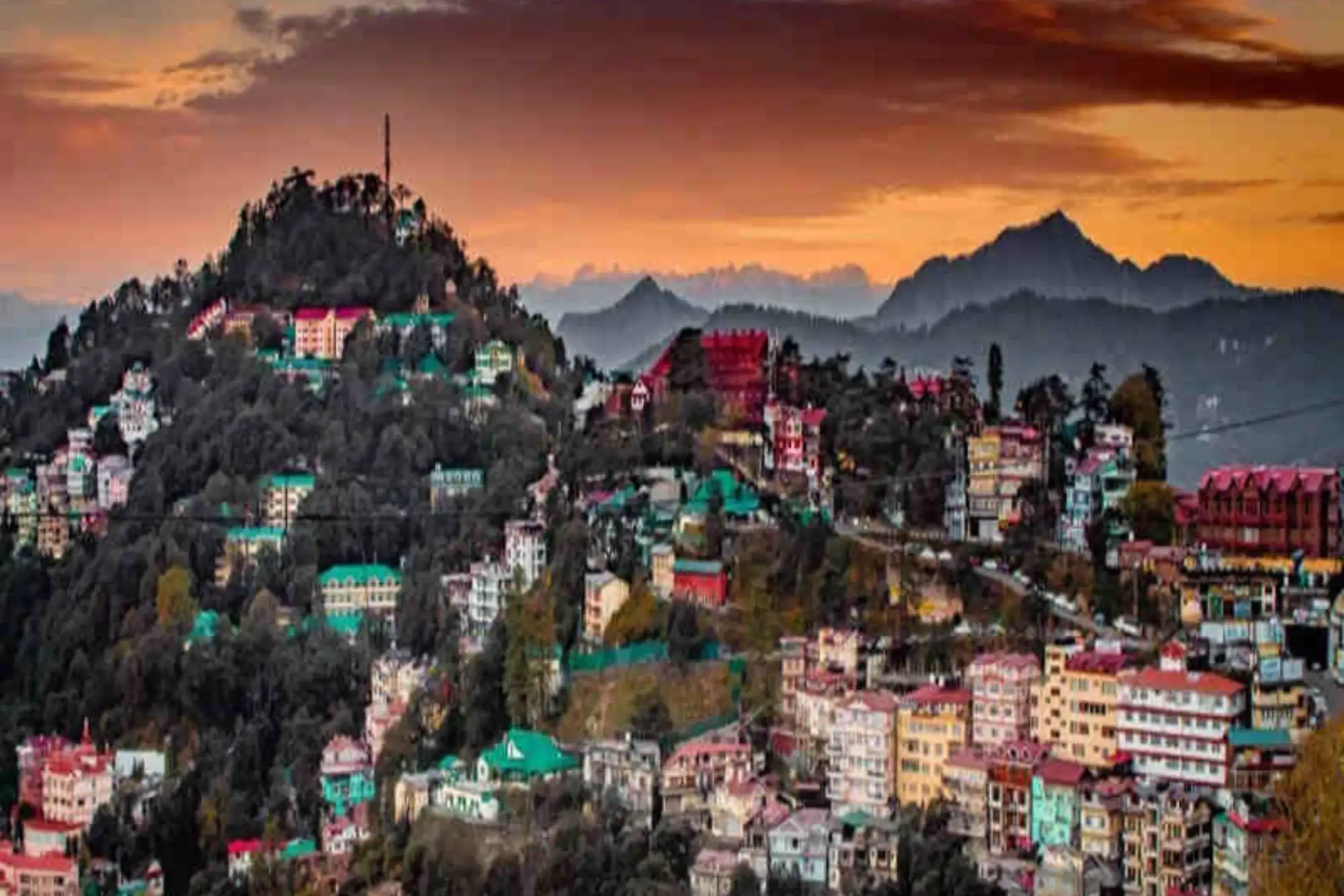Shimla