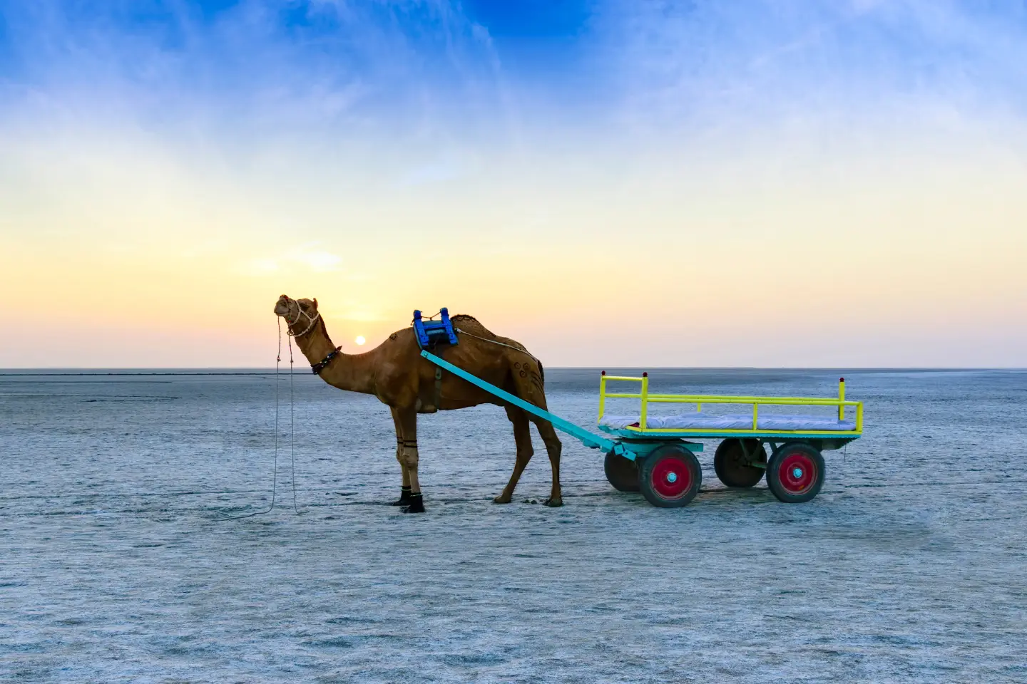 _Rann of Kutch