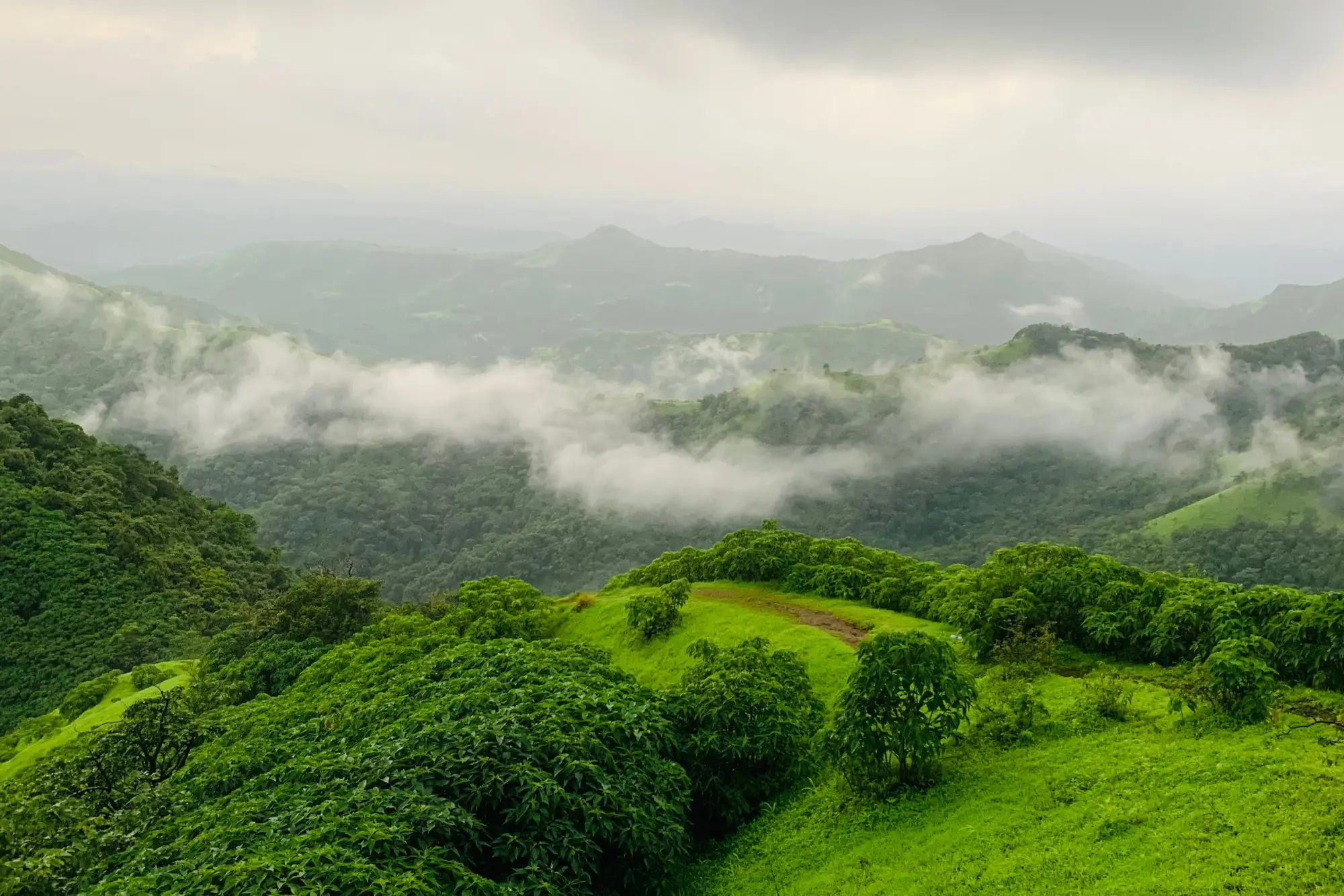 western ghats